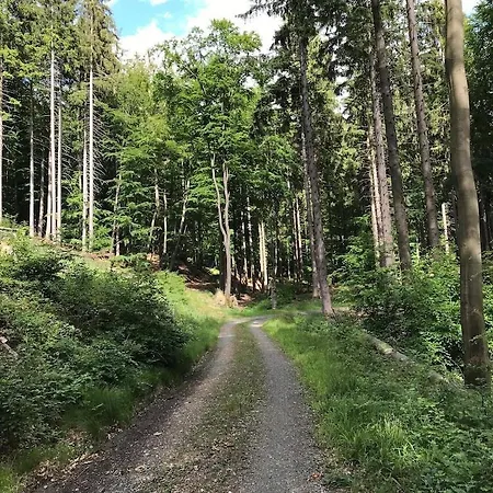 Mit Sauna, Wintergarten Und Terrasse Im Schoenen Hochtaunus Holiday home *