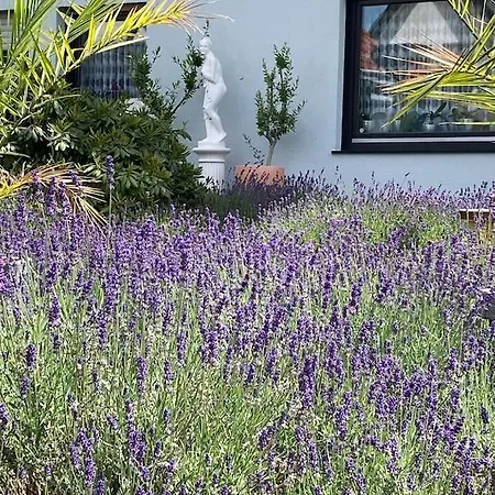 Mit Sauna, Wintergarten Und Terrasse Im Schoenen Hochtaunus Holiday home