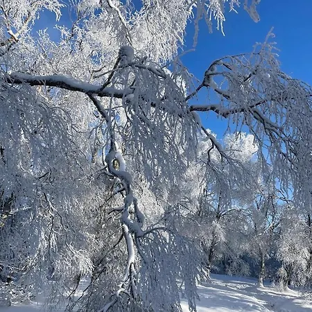 Mit Sauna, Wintergarten Und Terrasse Im Schoenen Hochtaunus
