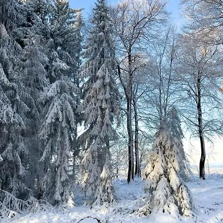 Holiday home Mit Sauna, Wintergarten Und Terrasse Im Schoenen Hochtaunus *