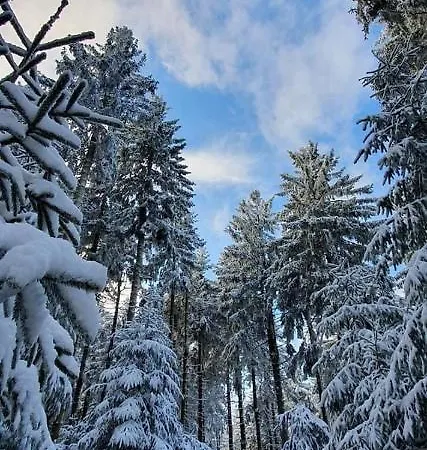 Holiday home Mit Sauna, Wintergarten Und Terrasse Im Schoenen Hochtaunus