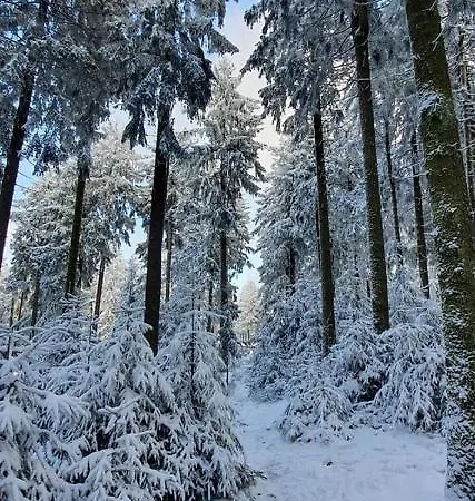 Mit Sauna, Wintergarten Und Terrasse Im Schönen Hochtaunus *