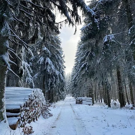 Mit Sauna, Wintergarten Und Terrasse Im Schoenen Hochtaunus *