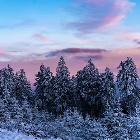 Mit Sauna, Wintergarten Und Terrasse Im Schönen Hochtaunus Ferienhaus *