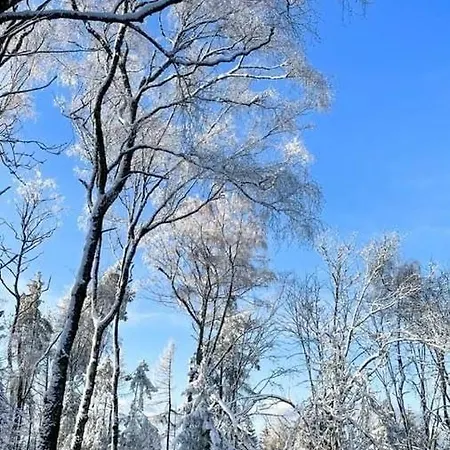 Mit Sauna, Wintergarten Und Terrasse Im Schönen Hochtaunus Ferienhaus