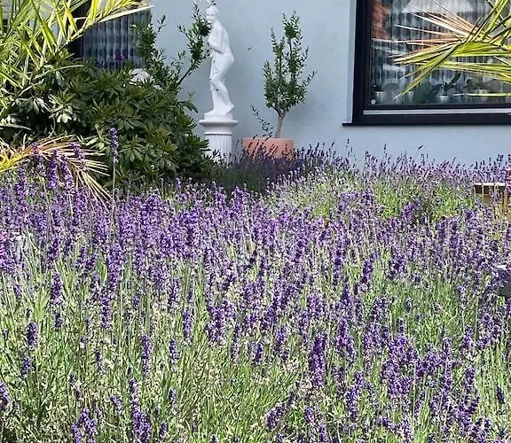 Mit Sauna, Wintergarten Und Terrasse Im Schoenen Hochtaunus Сasa de vacaciones