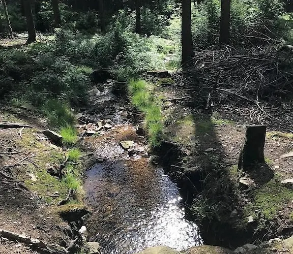 Mit Sauna, Wintergarten Und Terrasse Im Schoenen Hochtaunus Сasa de vacaciones *