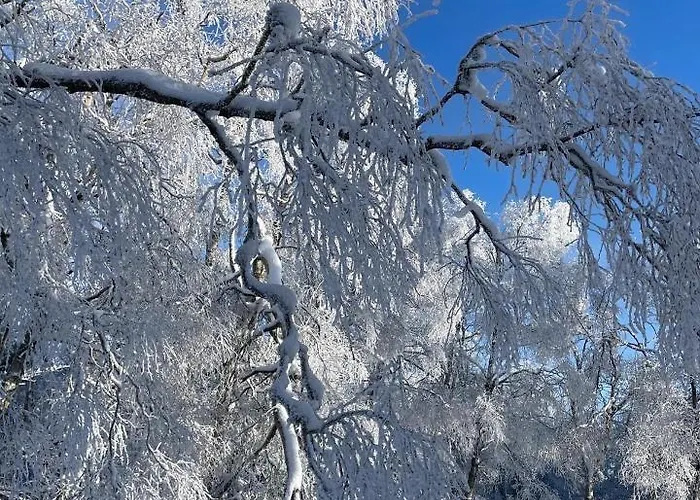 Mit Sauna, Wintergarten Und Terrasse Im Schoenen Hochtaunus