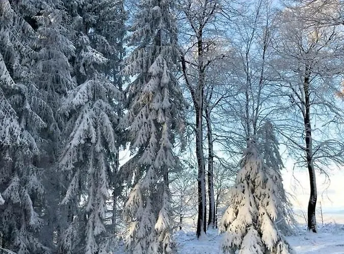 Сasa de vacaciones Mit Sauna, Wintergarten Und Terrasse Im Schoenen Hochtaunus *