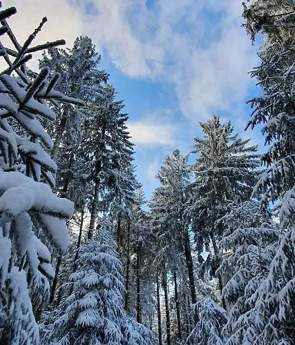 Сasa de vacaciones Mit Sauna, Wintergarten Und Terrasse Im Schoenen Hochtaunus