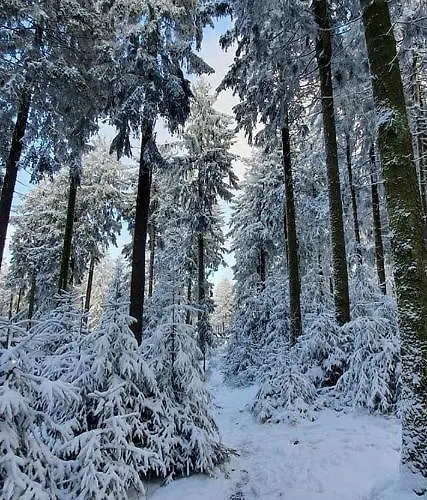 Mit Sauna, Wintergarten Und Terrasse Im Schoenen Hochtaunus *