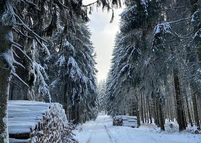Mit Sauna, Wintergarten Und Terrasse Im Schoenen Hochtaunus *