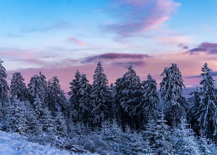 Mit Sauna, Wintergarten Und Terrasse Im Schoenen Hochtaunus Сasa de vacaciones *