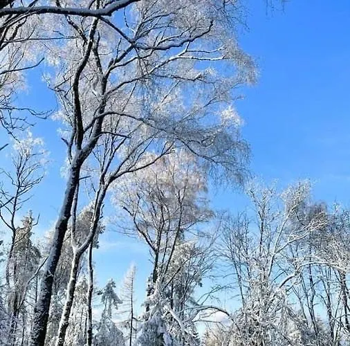 Mit Sauna, Wintergarten Und Terrasse Im Schoenen Hochtaunus Сasa de vacaciones