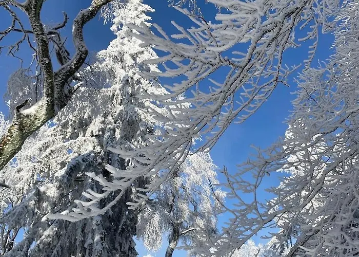 Сasa de vacaciones Mit Sauna, Wintergarten Und Terrasse Im Schoenen Hochtaunus Glashutten (Hessen)